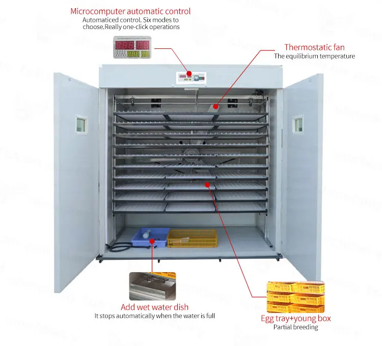 Automatic Hatching Solar Incubator/ Incubators Egg/incubator Machine for Sale Chicken 1 Set High Speed Stability Falcon 610