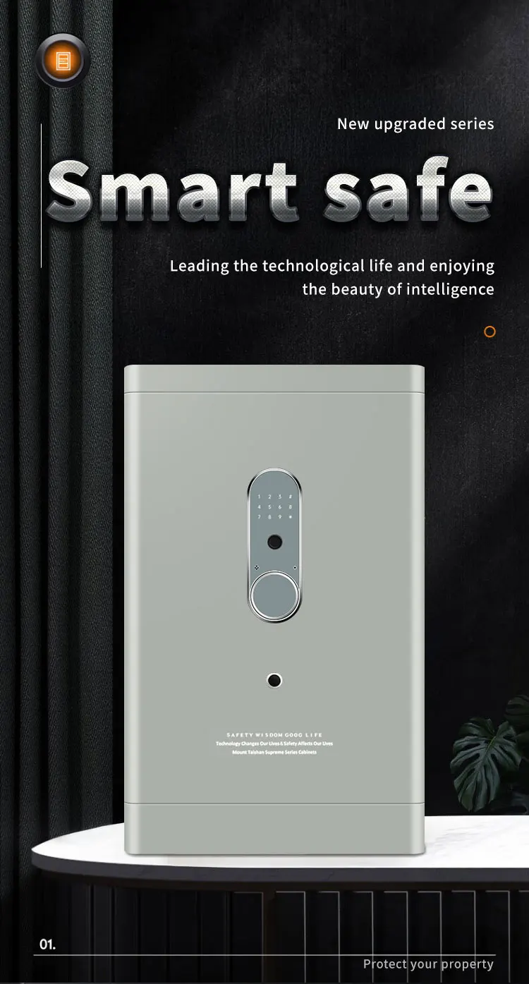 CEQSAFE Home Office All-Steel Anti-Theft Safe Fingerprint Password & TUYA APP WIFI SAFE BOX details