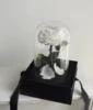 Chanson (without Light and Gift Box)