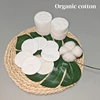 Organic cotton