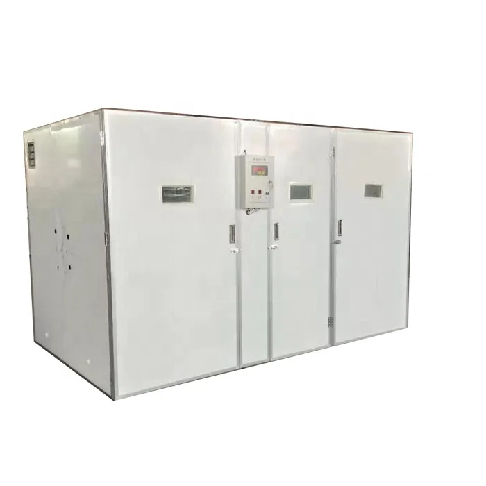 Digital Automatic 19712 Chicken Egg Incubator With Power Panel and Battery for Sale