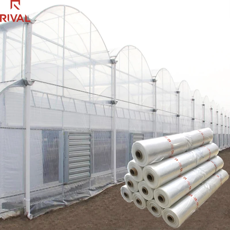 Высокотоннельный прозрачный 200 микрон полиэтиленовый полиэтилен LDPE большой парниковый пленочный чехол для однослойного или двухслойного сельскохозяйственного использования