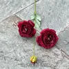 22# wood hibiscus-wine red