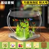Extra Large Square Bottom Bubble Tank - Basic Package