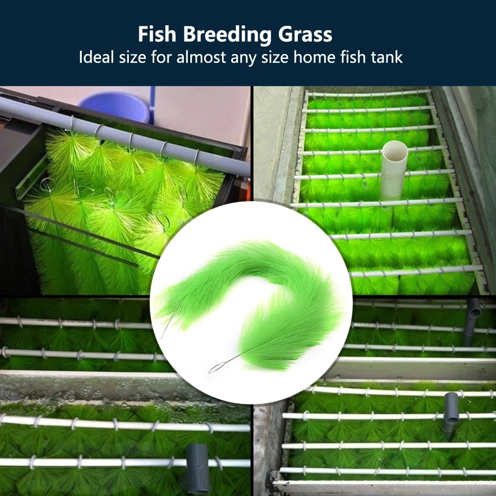 Koi Fish Pond Aquaculture Tilapia Carp Breeding Incubator Spawning Brush Grass Carp Hatching Egg