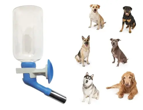 product 330ml small caliber hanging water bottle anti leak ball valve drinking container fresh water supply for hamster bunny-7