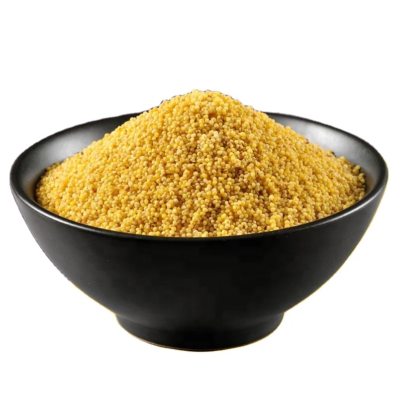 Chinese Gluten-free Grain Yellow Delicious Millet Hulled for Human Eating