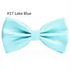 17 lago blu