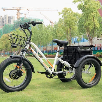 Usa Warehouse Stock Mgiei Electric Tricycle Fat Tire 750w Etrike With ...