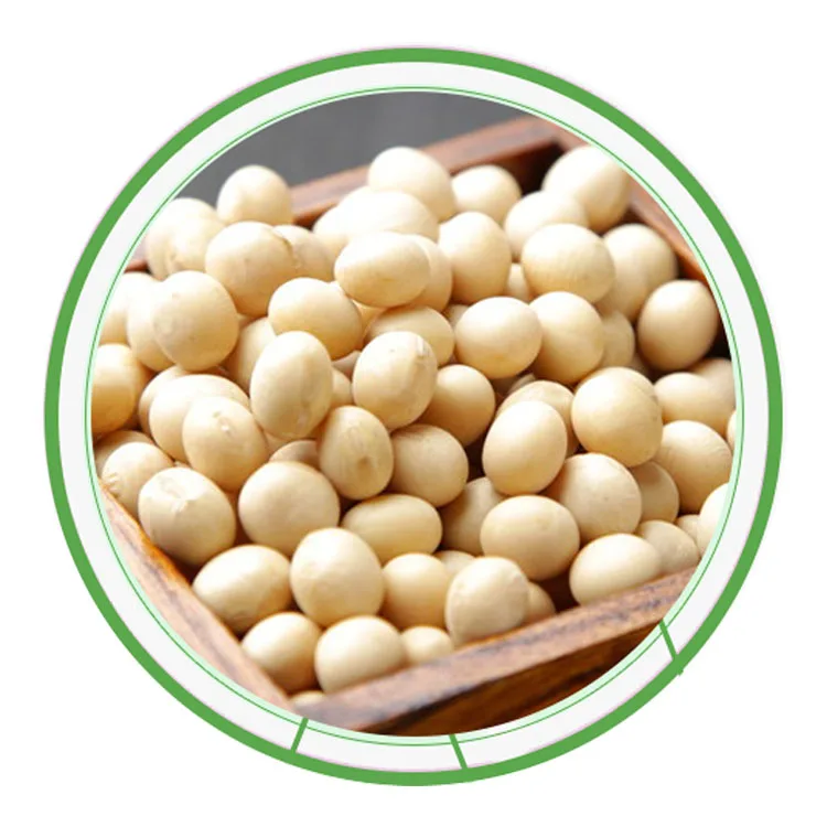 Factory wholesale non gmo soy yellow soybean with high protein