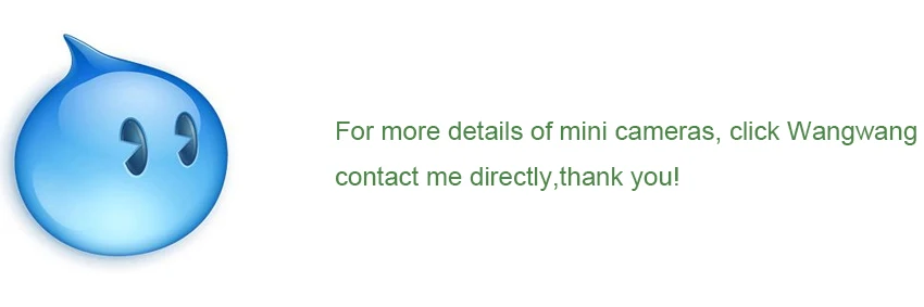  mini .jpg