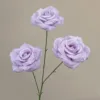 Lavanda
