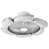 Sliver