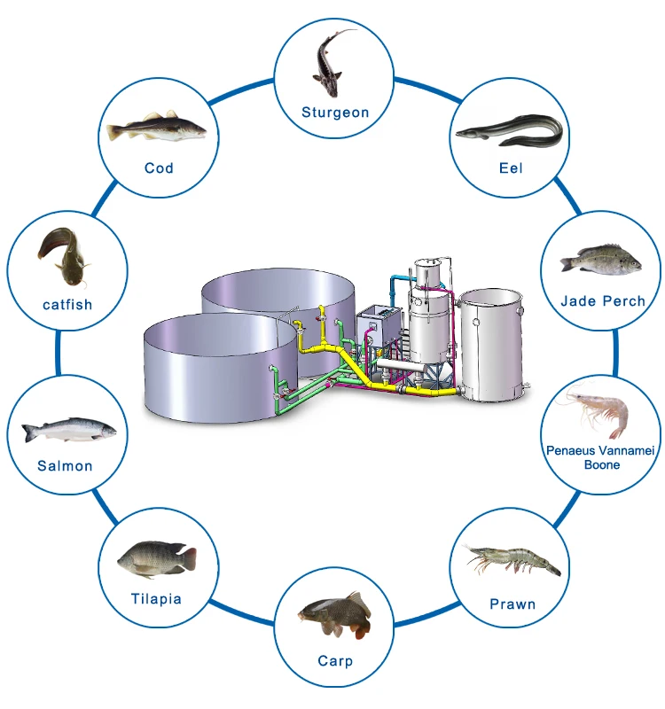 Fish Wather Control RAS Temperature Controller Equipment - Aquaculture Heat Pump