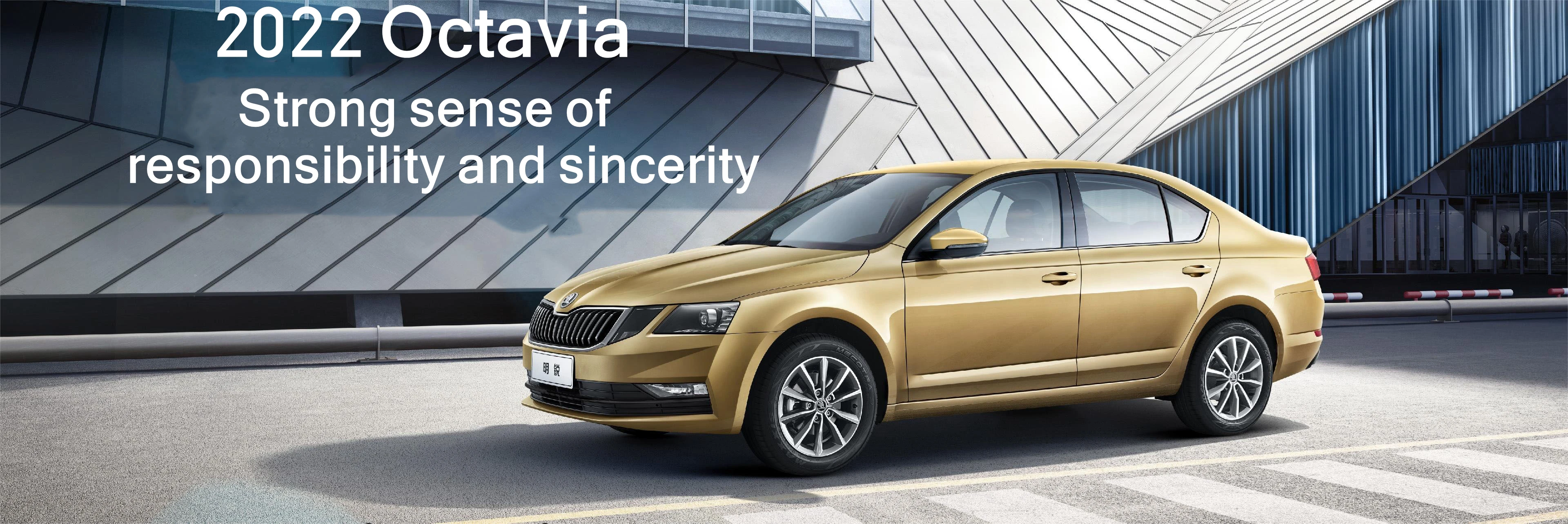 Skoda octavia из китая