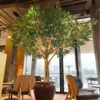 8#(Artificial olive tree deposit)