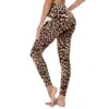 leopardo