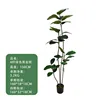 4 barras de acero verdes y negras, 150cm