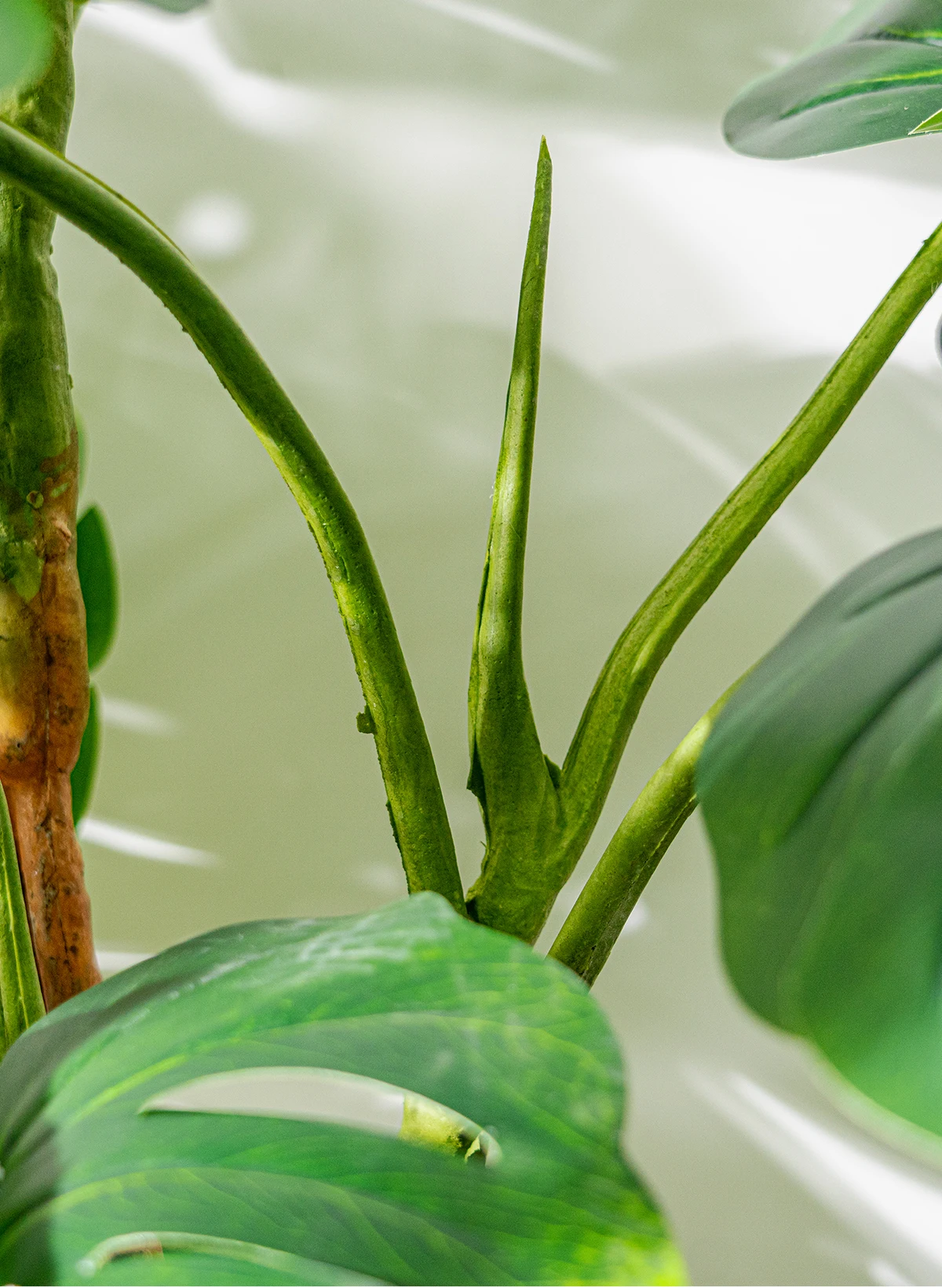 Artificial Plants Greenery Realistic Plastic Tree Potted Simulation Greenery Real Touch Leaves Indoor Home Outdoor Decoration manufacture