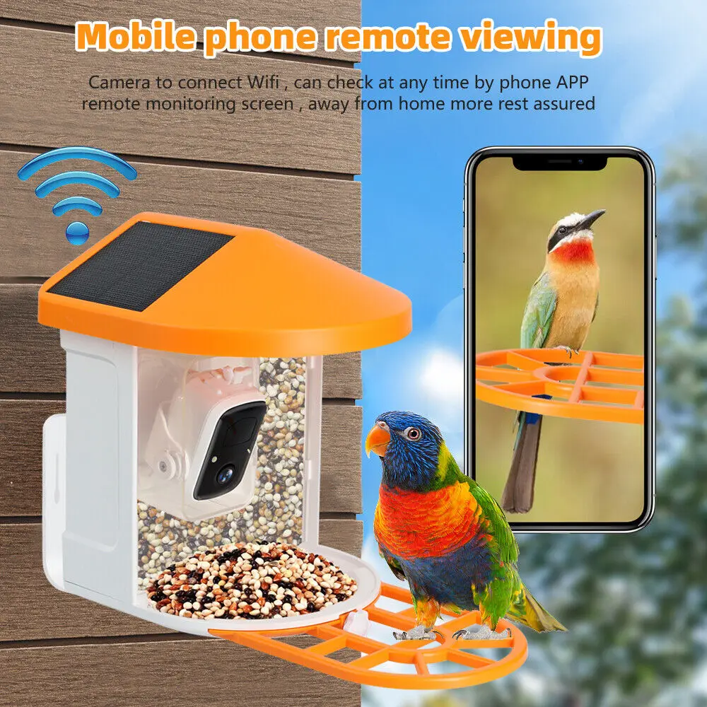 Odm Solar Power Smart Bird Feeder With 1080p Camera Ai Identify Bird