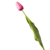 Deep pink