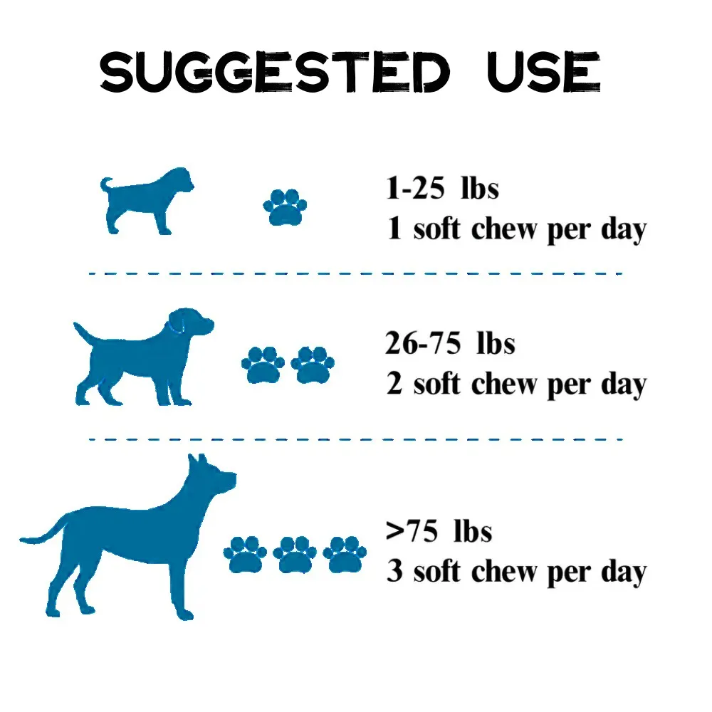 Odm Oem Pet Food Dog Supplement Cat Vitamin Probiotics Supplement