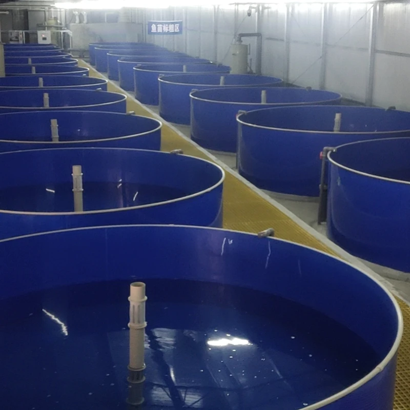 Professionelles, maßgeschneidertes Umwälzsystem für Aquakulturbrütereien