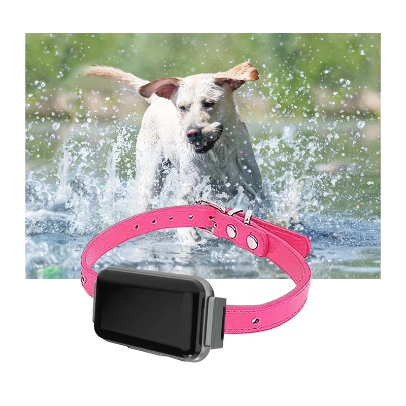 dog gps tracker petsmart