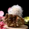 Zeolite & Silver Mica Crystal Sphere