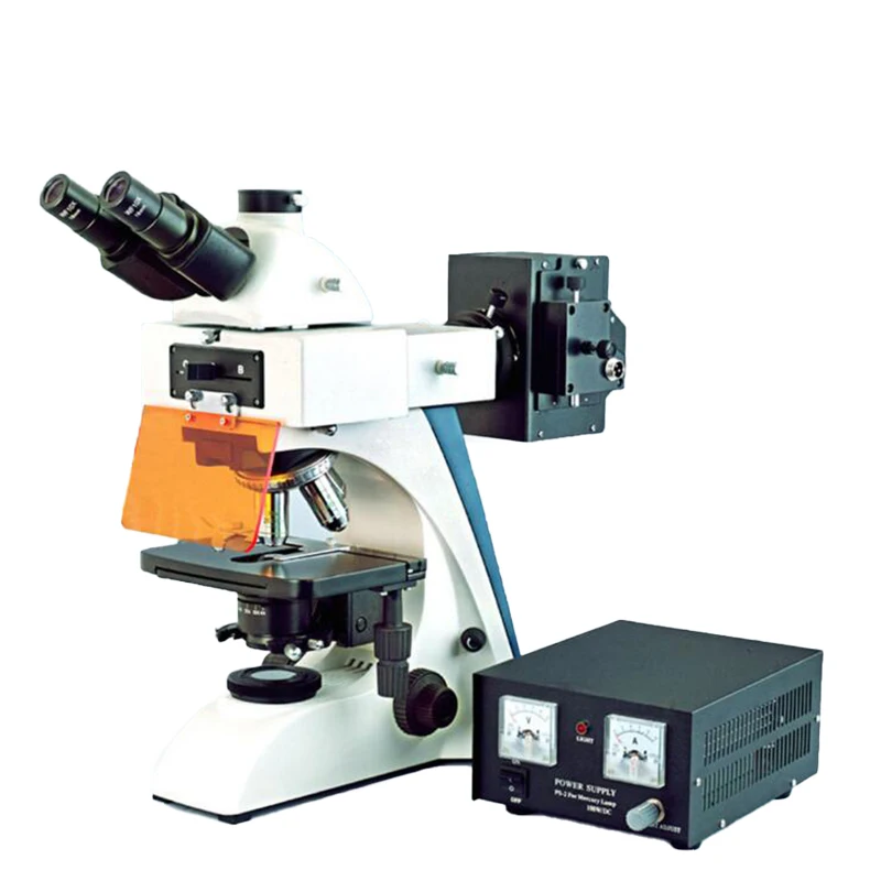 Ysenmed YSXWJ-FL2 Upright Fluorescence Microscope Light Fluorescence Microscope with Camera