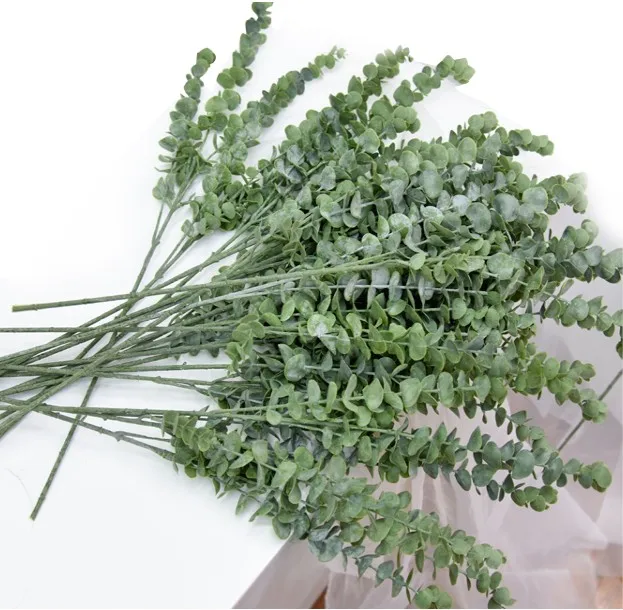 Fuyuan Fresh Eucalyptus Bundle Hanging For Shower Dried Eucalyptus