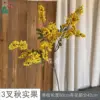 3-forked autumn fruit ZLZ Yellow
