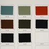 Muestra de Color 2