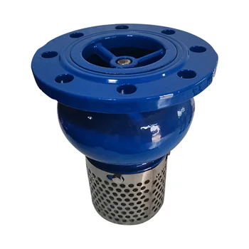 DN250 GGG50 BS5153 48KG 10 Inch China Fire Foot Valve