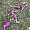 Vignes de glycine violet-rouge