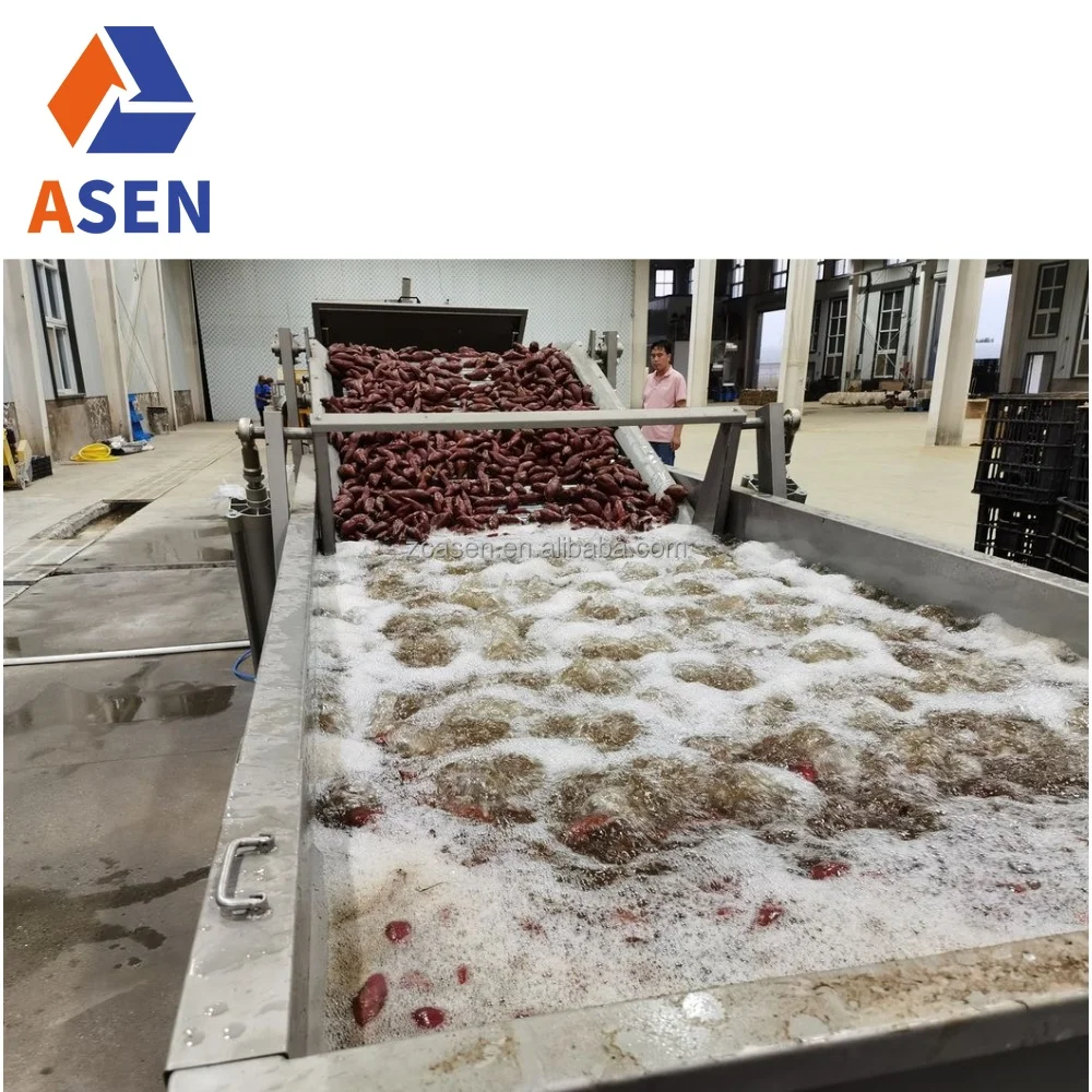 Ginger Cucumber Tomato Fruit Washing Machine Sorting Processing Line Vegetable Cleaning Equipment