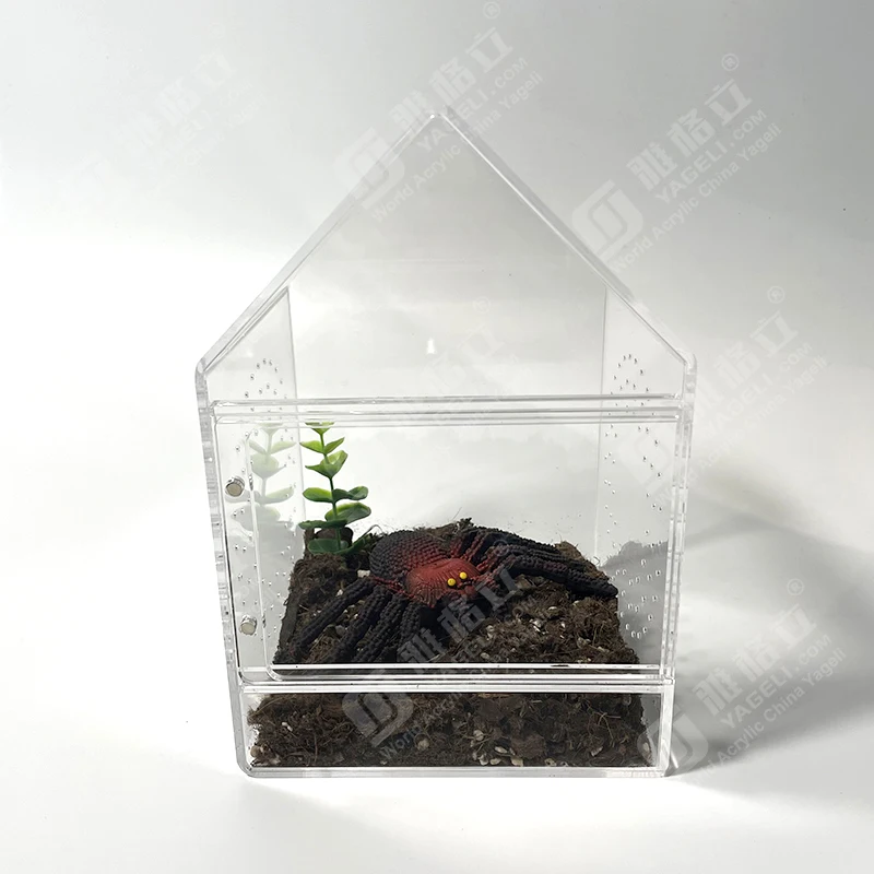 Tarantula Box Transparent Tarantula Enclosure - Perfect Spider Terrarium