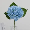 Azul claro