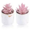 Rosa 2 pezzi A