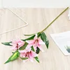 Narcissus lily-light pink