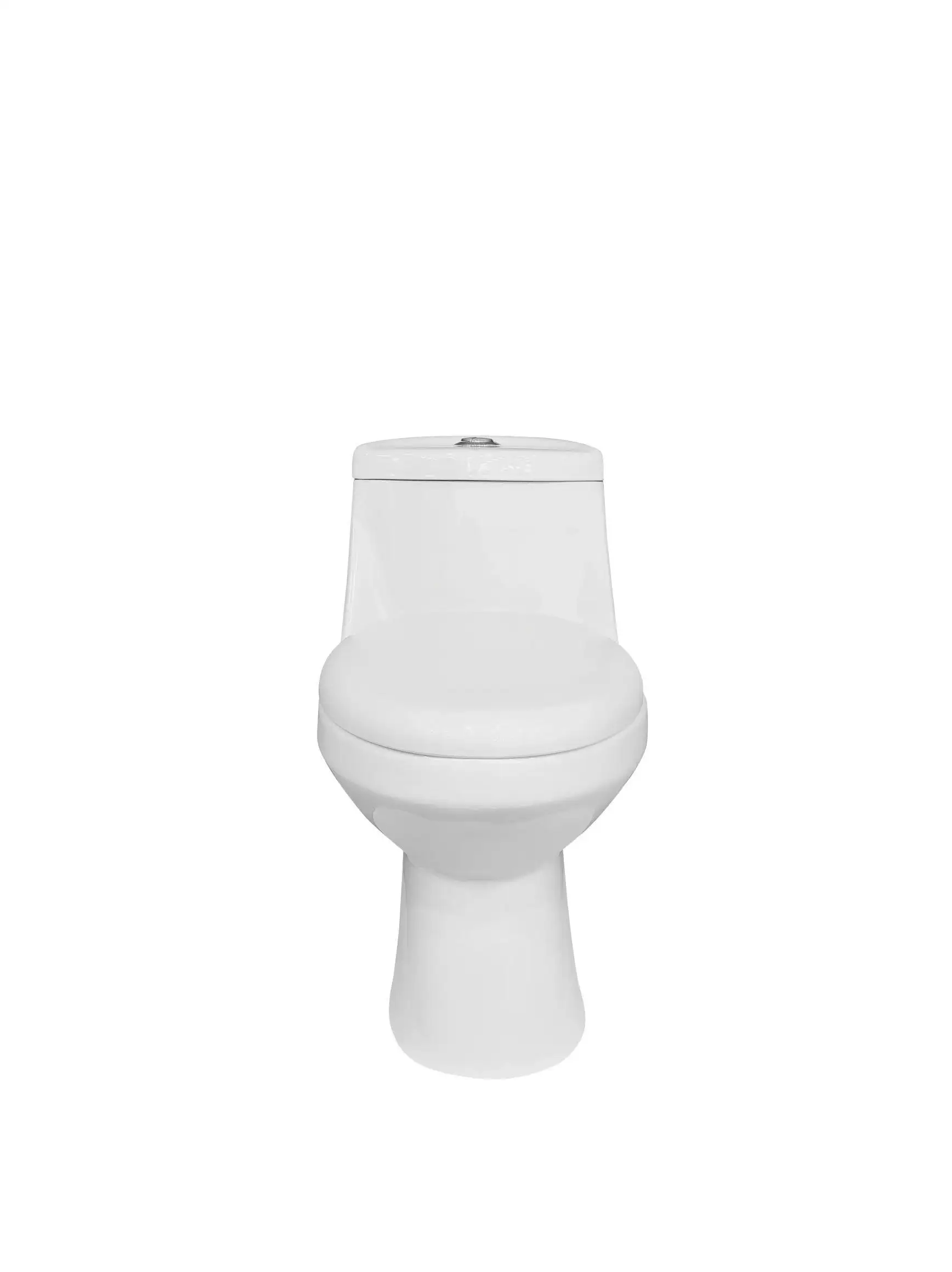 South American Hot Siphon S Trap 300 mm One Piece Toilet Economic Ceramic Toilet Factory Direct Sale Toilet details