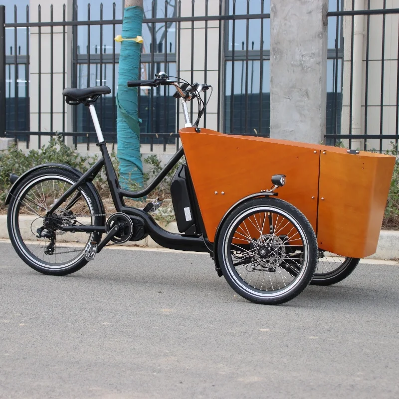 Delivery Children Seats Family Electric Assist Cargo Bike