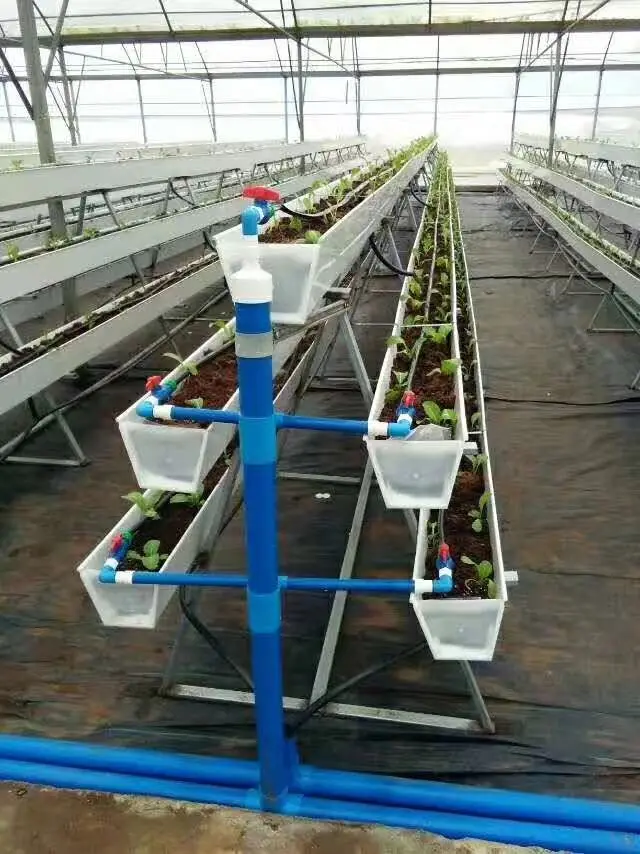 hydroponic vertical tower