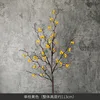 One branch of winter green fruit (yellow) on a tall branch.