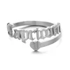 Silver color capricorn