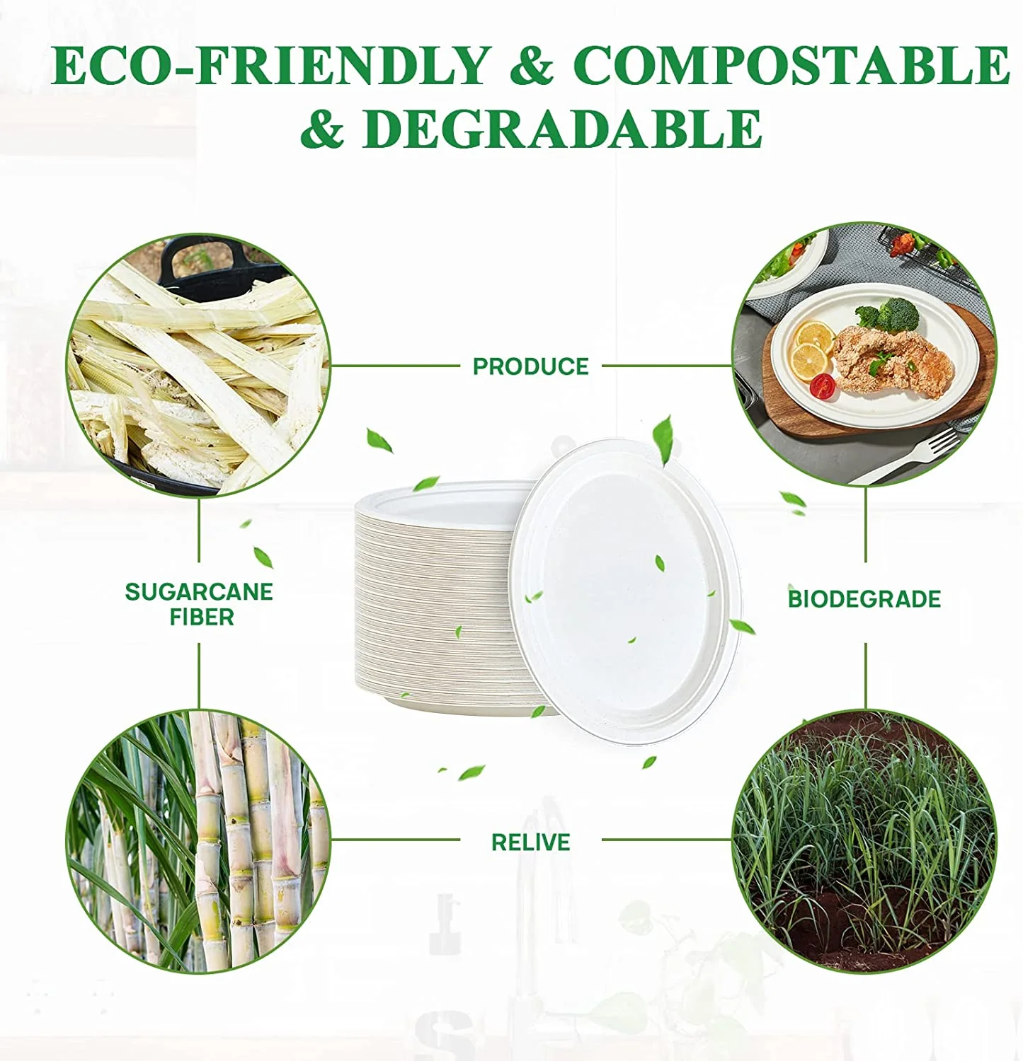 Eco Friendly Bagasse Disposable Sugarcane Bagasse Biodegradable Plate ...