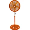 All orange