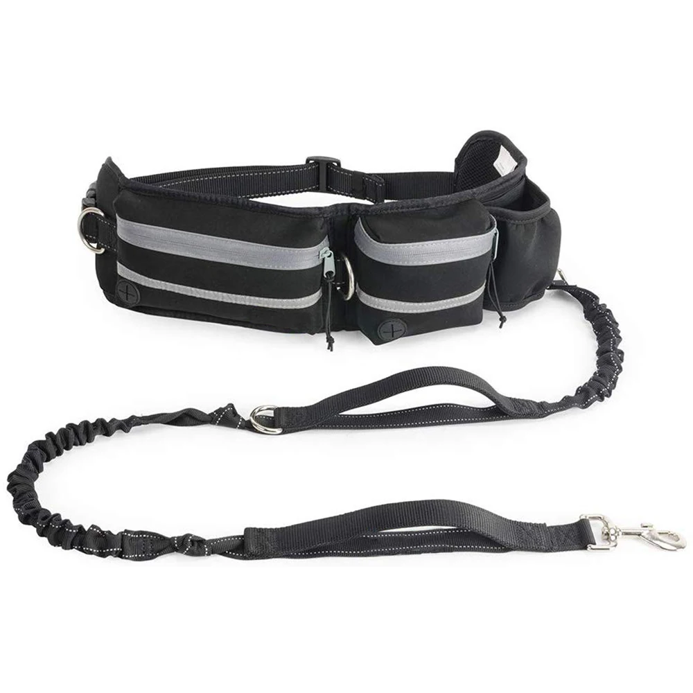 bungee leash dog training