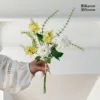 White joyful corner rose-yellow phoenix tail orchid-five-petal g