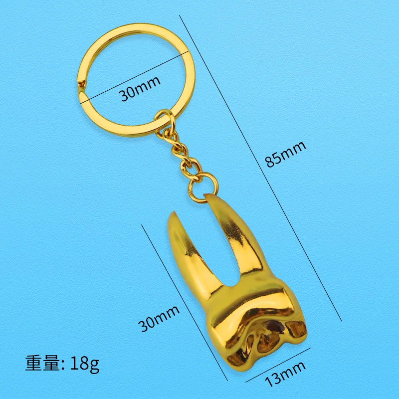 Dentist Keychain Dental Molar Tooth Key Ring Simulated 3d Metal Dental
